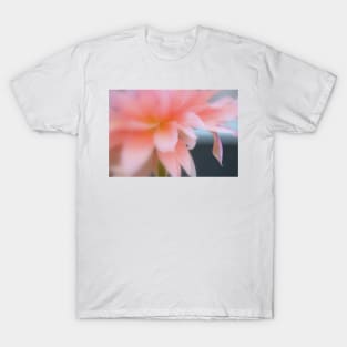 Petal(s) T-Shirt